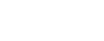 Brow Queen LA™